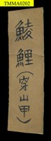 臺灣鯪鯉藏品圖，第10張